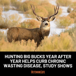 Image post by @outdoor_life on Instagram