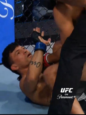 Video post by @ufc on TikTok