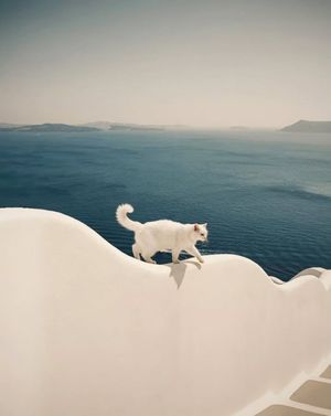 Image post by @fubiz on Instagram