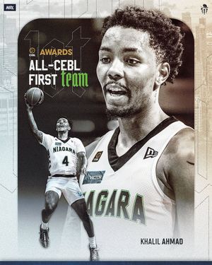 Image post by @niagarariverlions on Instagram