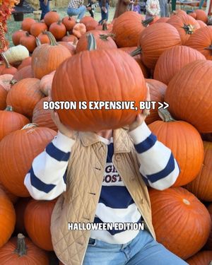 Video post by @bostonwithemily on TikTok