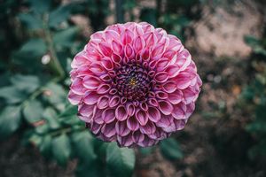 Image post by @irog.media on Instagram