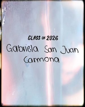 Image post by @mizzouswimdive on Instagram