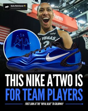 Image post by @soleretriever on Instagram