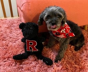 Image post by @rutgersu on Instagram