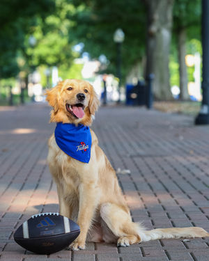 Image post by @utulsa on Instagram