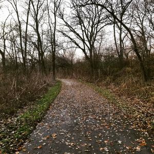 Image post by @addisonparkdist on Instagram