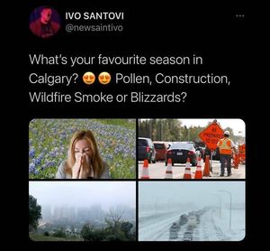 Image post by @calgary.wildin on Instagram