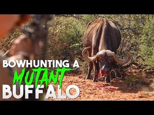 Video post by @BowmarBowhunting on YouTube