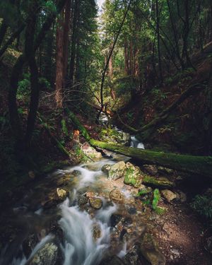 Image post by @themikeledford on Instagram
