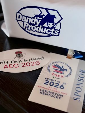 Image post by @dandyproducts on Instagram