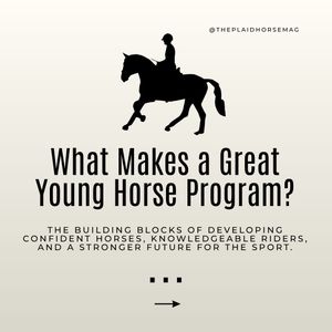 Image post by @theplaidhorsemag on Instagram