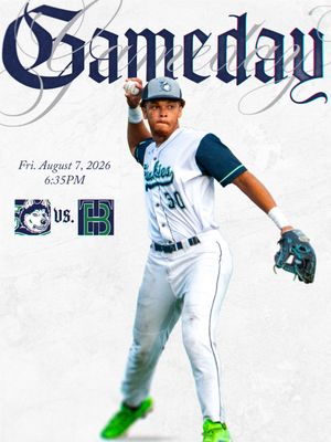 Image post by @duluthhuskies on Instagram