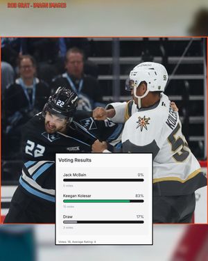 Image post by @hockeyfights on Instagram