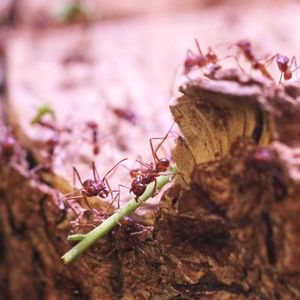 Image post by @butterflypavilion on Instagram