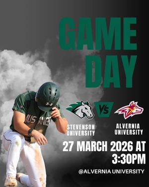 Image post by @stevensonbsb on Instagram