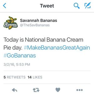 Image post by @thesavbananas on Instagram