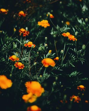Image post by @chrisbolt on Instagram