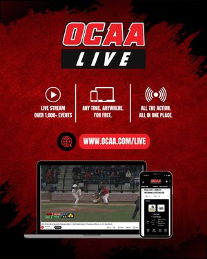 Image post by @theocaa on Instagram