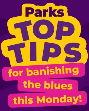 Image post by @parkchristmassavings on Instagram