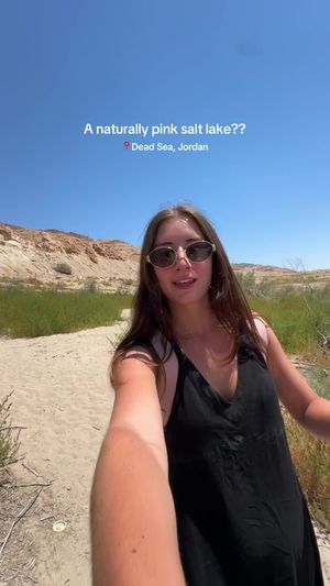 Video post by @josiestoffan on TikTok