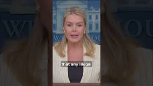 Video post by @kmphfox26 on YouTube