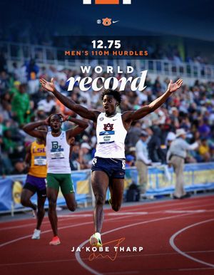 Image post by @auburntfxc on Instagram