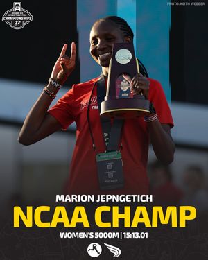 Image post by @dyestat on Instagram