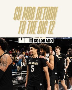 Image post by @colorado.nil.store on Instagram