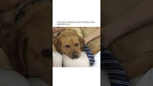 Video post by @today on YouTube