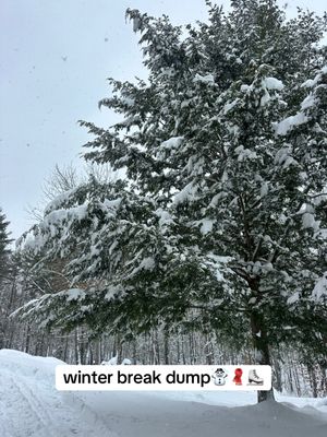 Video post by @aritbow on TikTok