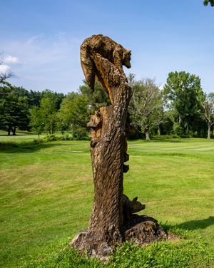 Image post by @playmassgolf on Instagram