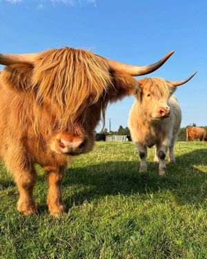 Image post by @visitscotland on Instagram