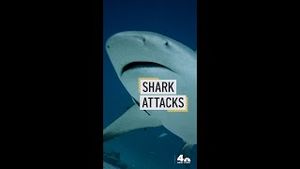 Video post by @nbcnewyork on YouTube