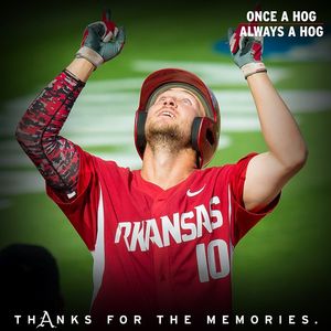 Image post by @razorbackbsb on Instagram