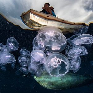 Image post by @worldscifest on Instagram