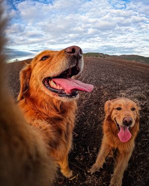 Image post by @gopro on Instagram