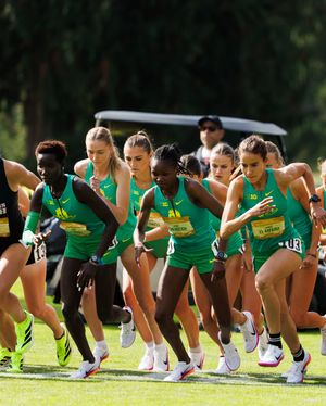 Image post by @oregontf on Instagram