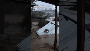 Video post by @accuweather on YouTube