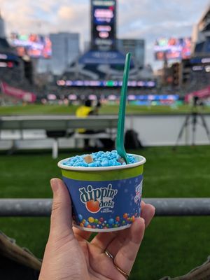 Image post by @dippindots on Instagram