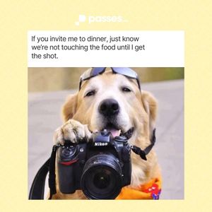 Image post by @passes on Instagram