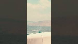 Video post by @ambashepherd on YouTube