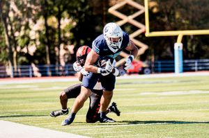 Image post by @gocolumbialions on Instagram
