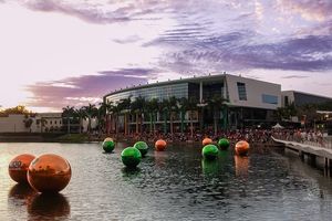 Image post by @umiamisehd on Instagram