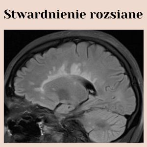 Image post by @neurochirurg_litak on Instagram
