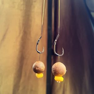 Image post by @brothercarp on Instagram