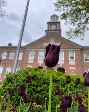 Image post by @WichitaState on Twitter