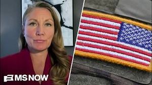Video post by @msnbc on YouTube