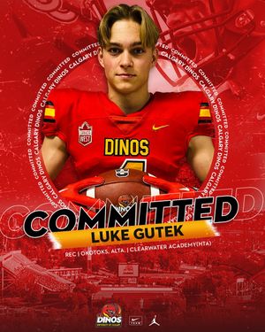 Image post by @dinos_football on Instagram