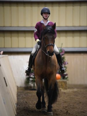 Image post by @theplaidhorsemag on Instagram
